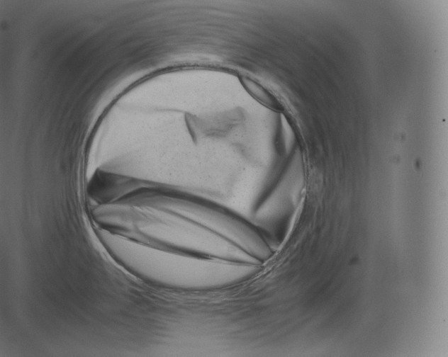 X0000081431295200702092150