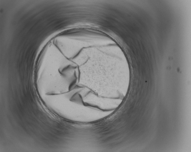 X0000081431296200702092150