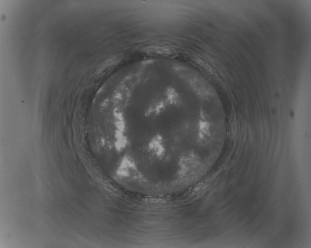 X0000081431297200702092149