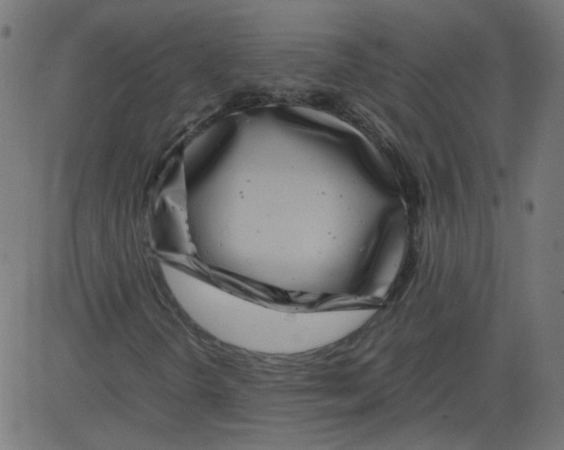 X0000081431298200702092149