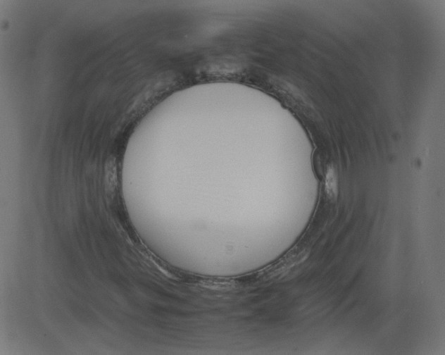 X0000081431299200702092149