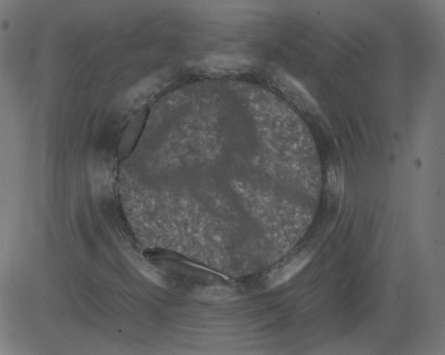 X0000081431300200702092149