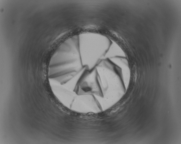 X0000081431301200702092149