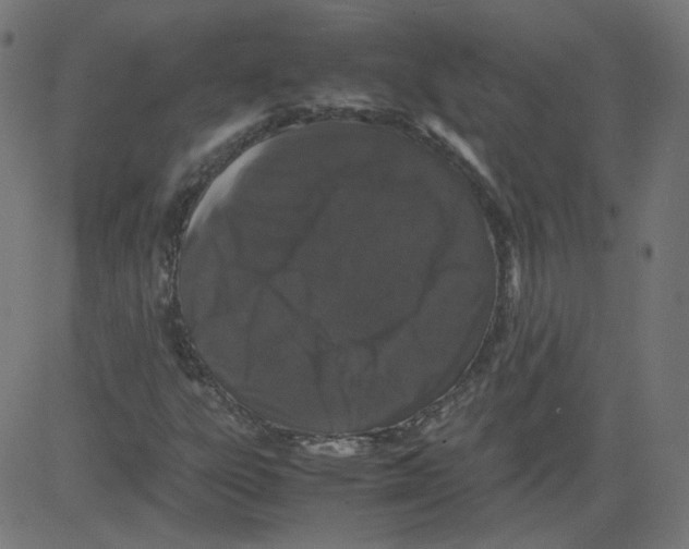 X0000081431303200702092149