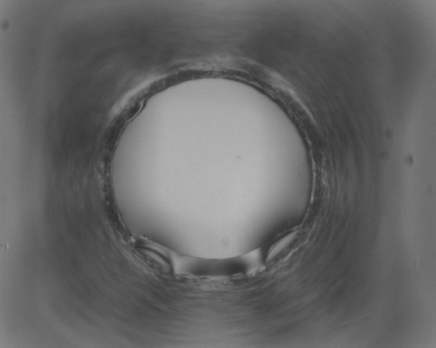 X0000081431304200702092149