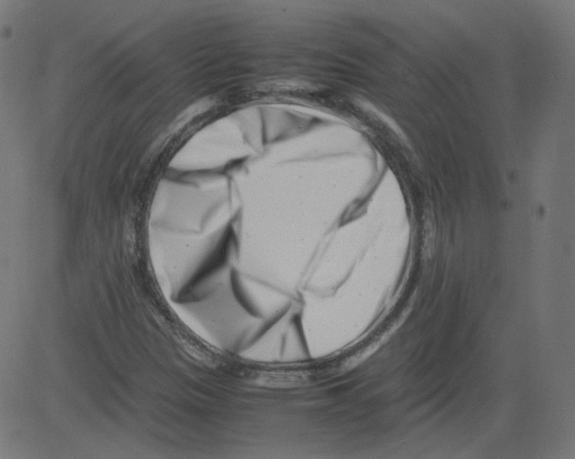 X0000081431305200702092149