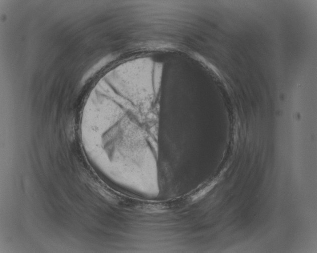 X0000081431306200702092149