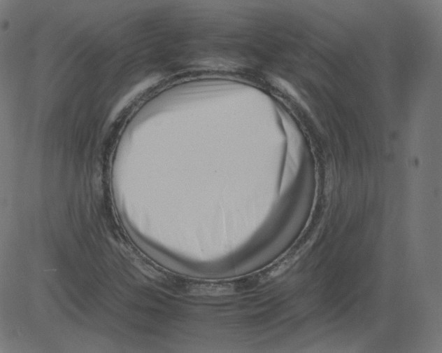 X0000081431307200702092149