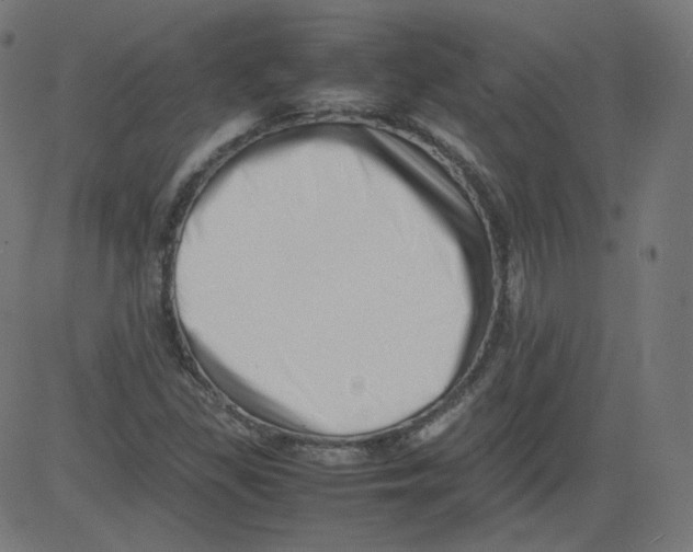 X0000081431309200702092149