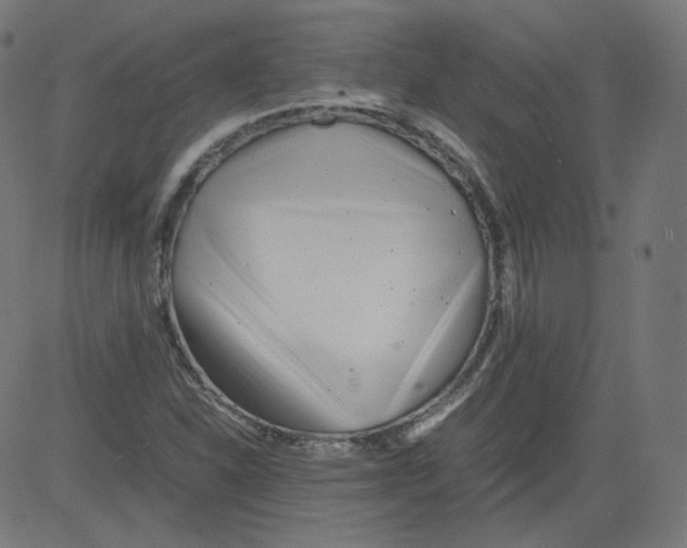 X0000081431310200702092149