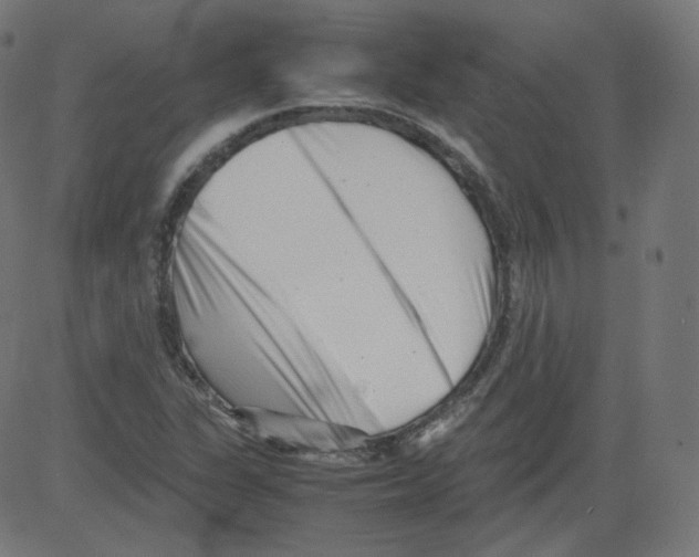 X0000081431311200702092149