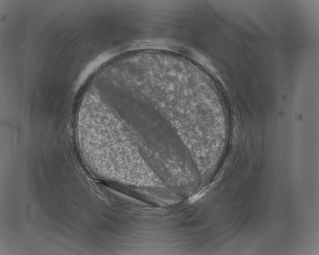 X0000081431312200702092149