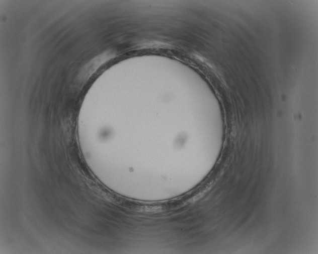 X0000081431313200702092149