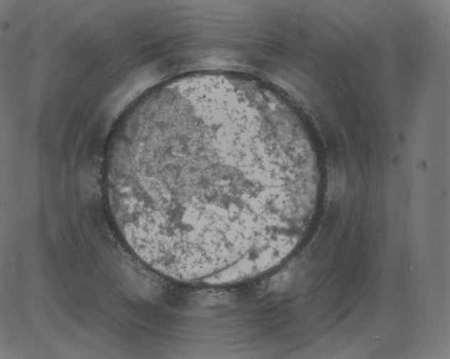 X0000081431314200702092149