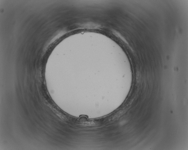 X0000081431315200702092150