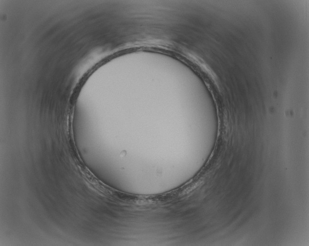 X0000081431316200702092150