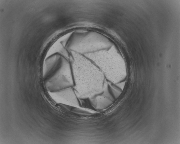 X0000081431318200702092150