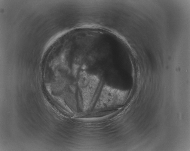 X0000081431319200702092150