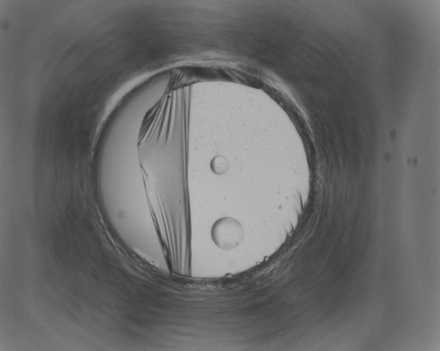 X0000081431320200702092150