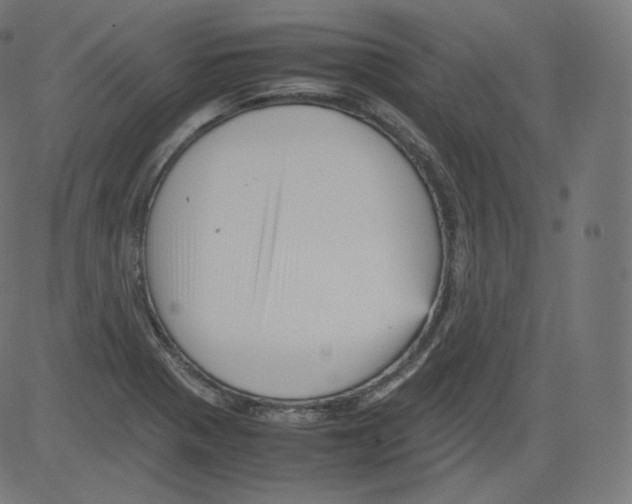 X0000081431321200702092150