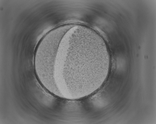 X0000081431322200702092150