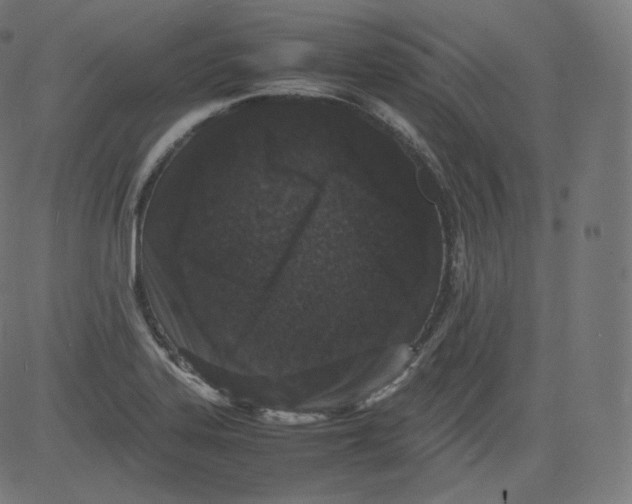 X0000081431323200702092150