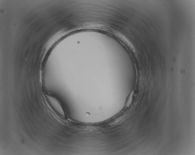 X0000081431324200702092150