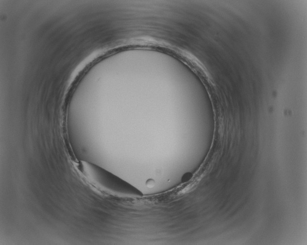 X0000081431326200702092150