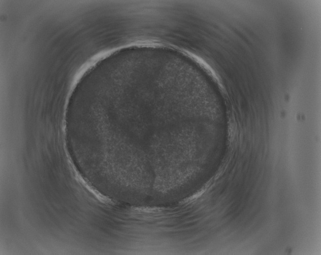 X0000081431327200702092150