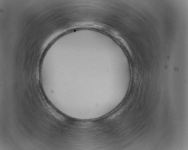 X0000081431328200702092150