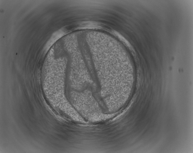 X0000081431329200702092150