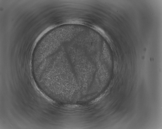 X0000081431331200702092150