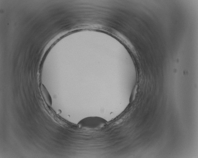 X0000081431332200702092150