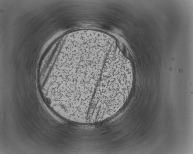 X0000081431333200702092150