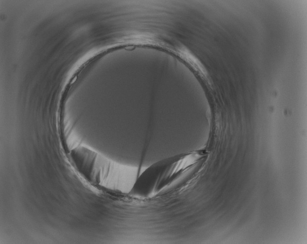 X0000081431334200702092150