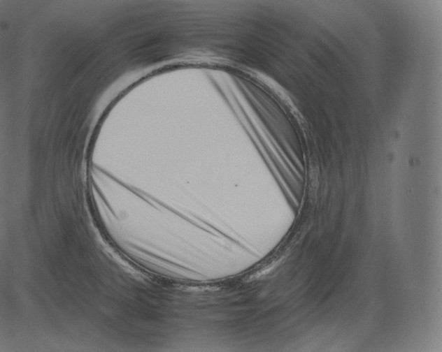 X0000081431335200702092150