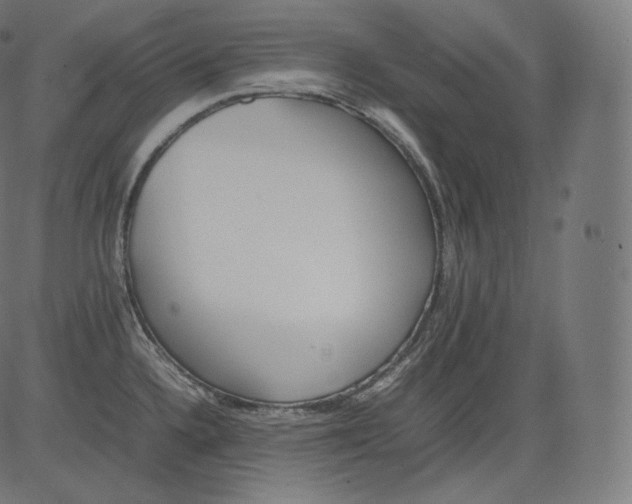 X0000081431336200702092150