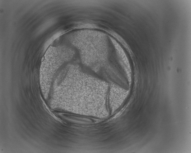 X0000081431337200702092150