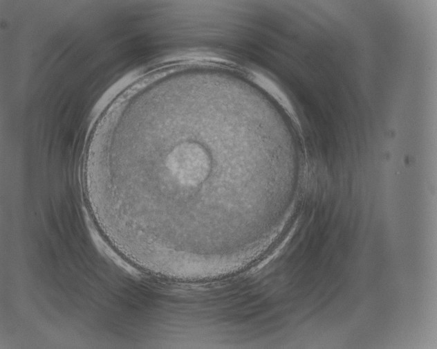 X0000081431338200702092150