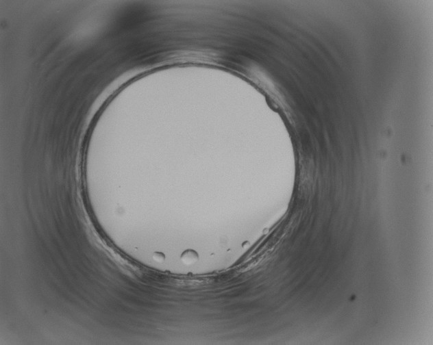 X0000081431339200702092150