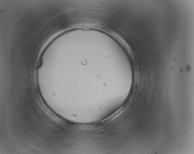 X0000081431340200702092150