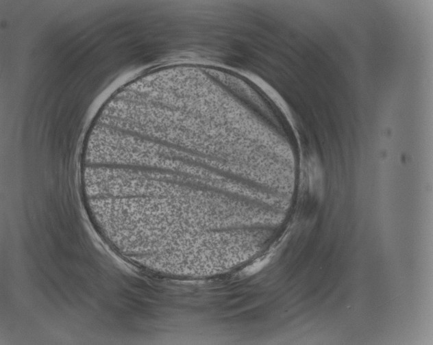 X0000081431341200702092150