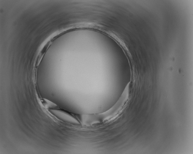 X0000081431342200702092150