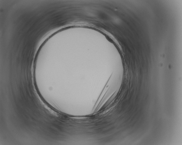 X0000081431343200702092150