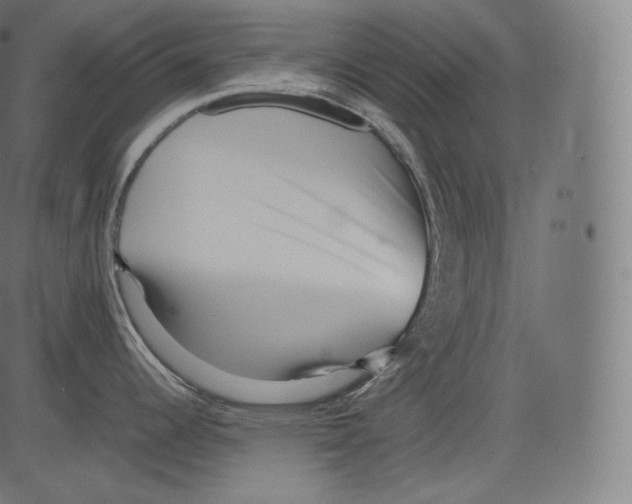 X0000081431344200702092150