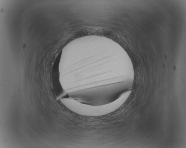 X0000081431345200702092149