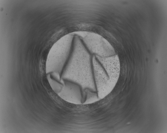 X0000081431346200702092149