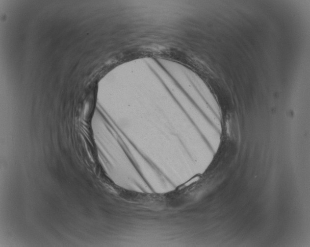 X0000081431347200702092149