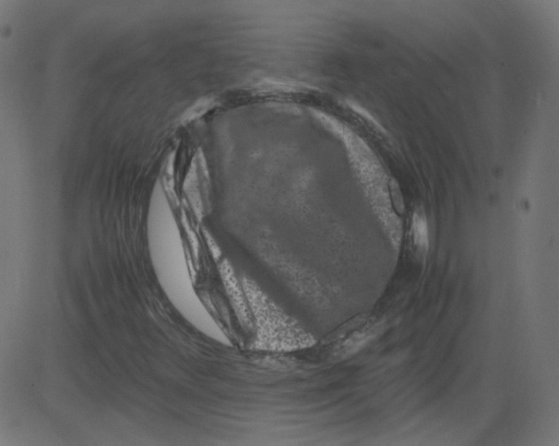 X0000081431348200702092149