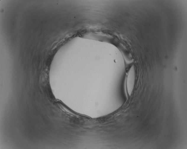 X0000081431349200702092149